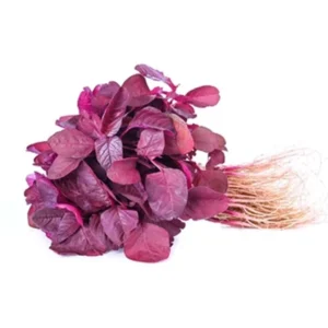 লাল শাক (Red Spinach) – টাটকা দেশি শাক